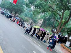 -马王堆汉墓遗址