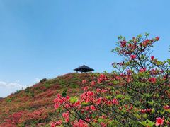 -大围山国家森林公园