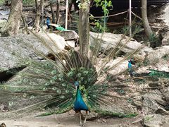 -洛阳花果山景区