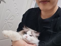 -宠爱国际动物医院· 猫科· 外科·中兽医(长白店)