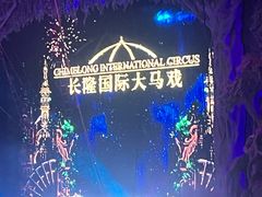 -广州长隆国际大马戏