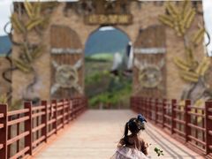 -世界恐龙谷景区