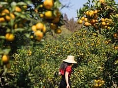 -滨江森林公园-真人CS野战场