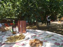 -水库活鱼馆(于桥水库店)