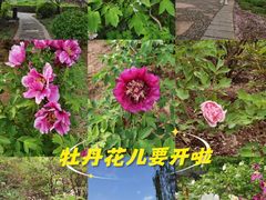 -洛阳市隋唐城遗址植物园