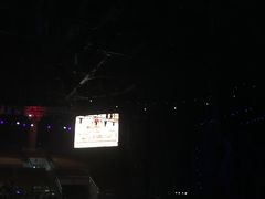 -灵玲国际马戏城