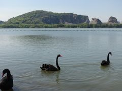 -西山漾湿地公园