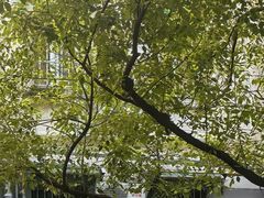 -许府牛火锅(信义坊总店)