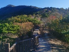 -北京十三陵国家森林公园蟒山景区