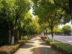 -青枫公园