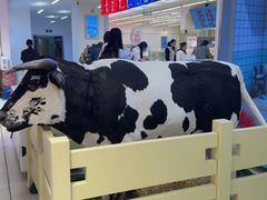-红星前进面包牛奶公司(君太店)