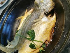 原汁原味焗黄花鱼-八月小厨· 湛江风味粤菜