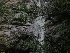 -东天目山风景区