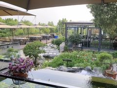 -蘇河湾·新鲁菜·泰山宴(泰山店)
