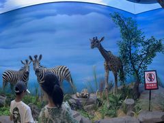 -西霞口神雕山野生动物世界