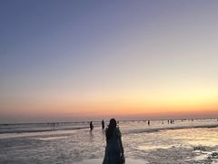 -南汇嘴观海公园