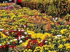 -信基豪泰酒店用品城