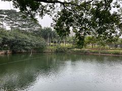 -深圳龙潭公园