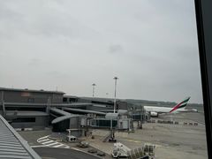 -米兰马尔彭萨国际机场