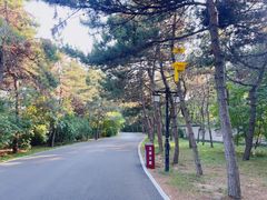 -北陵公园