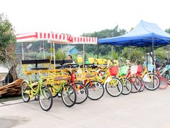 游乐设施-海鸥岛