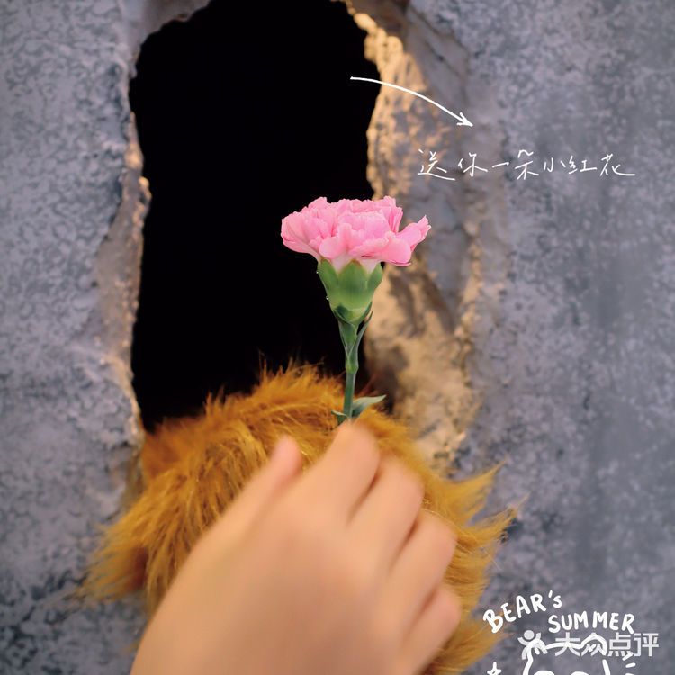 风靡魔都的熊爪咖啡，开到杭州啦，现在还有5折券！