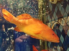 -陶陶居·雅园(凯华国际店)