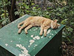-狼山风景名胜区