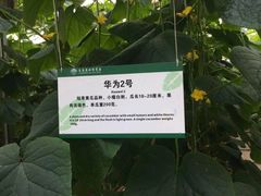 -长春农博园