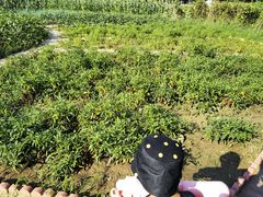 -意大利农场度假村