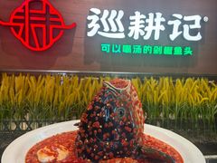 -巡耕记·湖南土菜(长湖店)