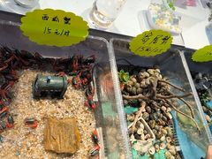 -大学城夜市