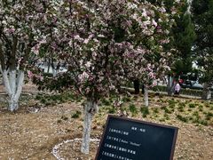 -元大都城垣遗址公园