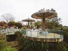 -铁山坪森林公园