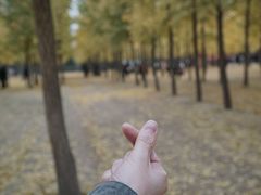 -汉景帝阳陵博物院