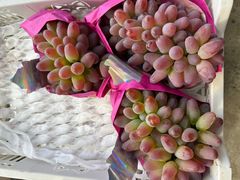 -马陆小张葡萄园农家乐