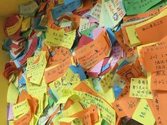 -志龙皇冠吃货椰子铺