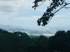 -普陀山慧济禅寺