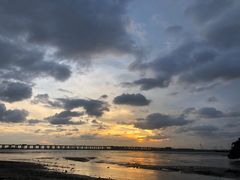 -宝安西湾红树林湿地公园