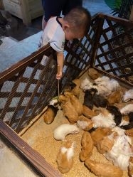 -酷嗒动物文化乐园(cutezoo西溪乐天城店)