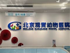 -北京观赏动物医院·24小时大型综合·猫专科·异宠专科