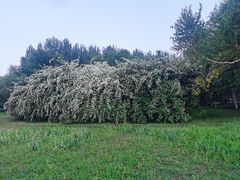 -长春公园(普阳街道)