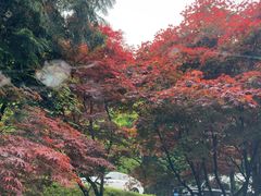 -四明山国家森林公园