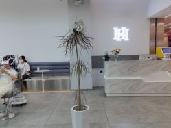 -禾曼造型