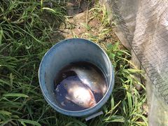 -马陆小张葡萄园农家乐