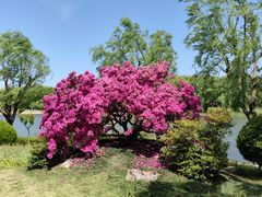 -上海鲜花港