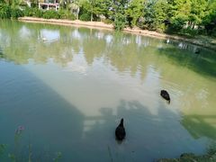 -上方山森林动物世界