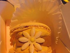 -好利来(回龙观西大街店)