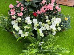 -双季花艺园艺市场(浦东店)