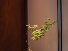-沁园·珍藏湘味(芙蓉广场店)